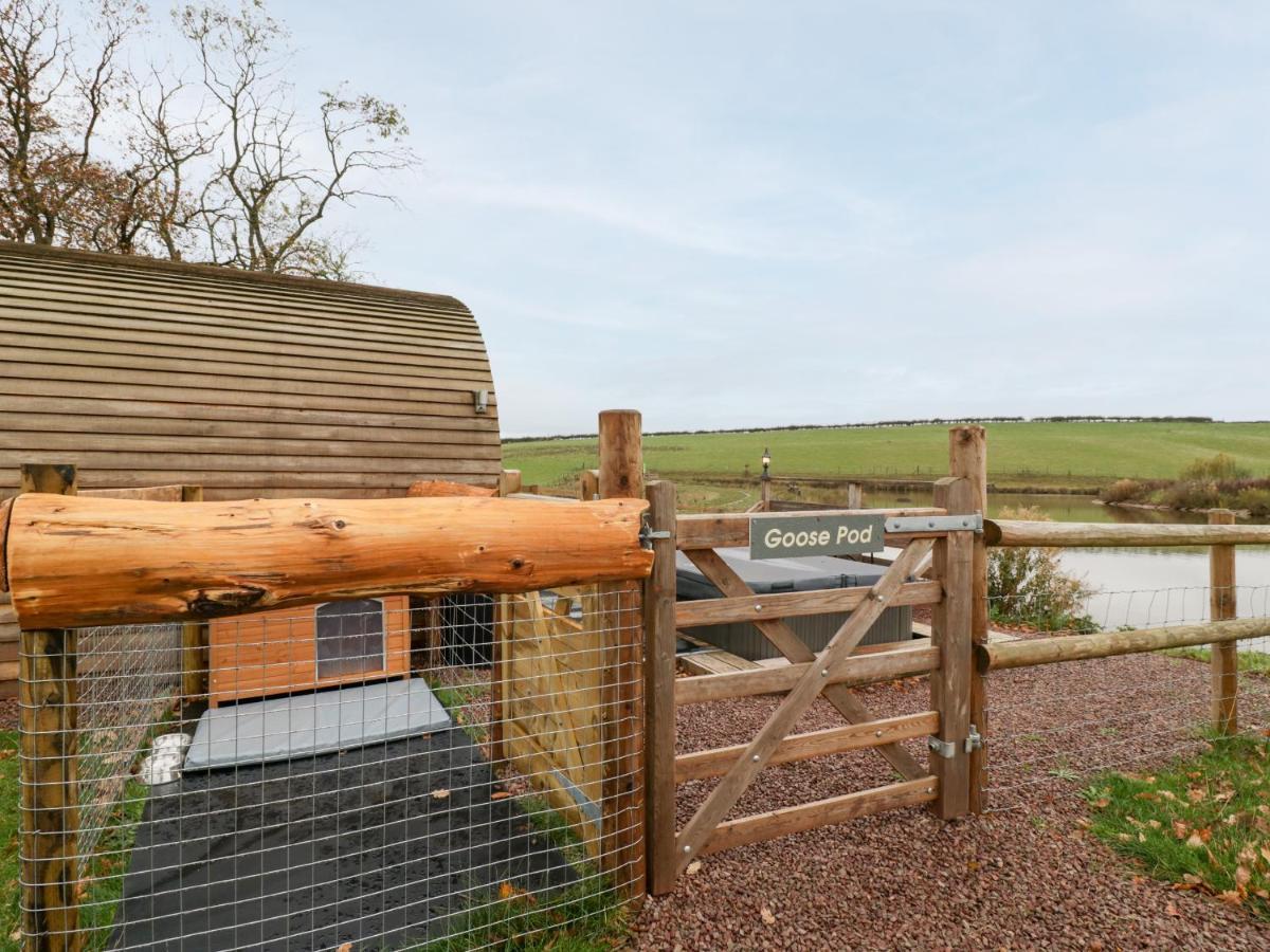 Goose Pod Villa Worcester Exterior photo